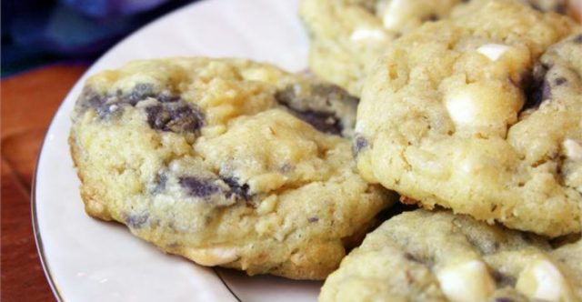 blueberrywcgingercookies